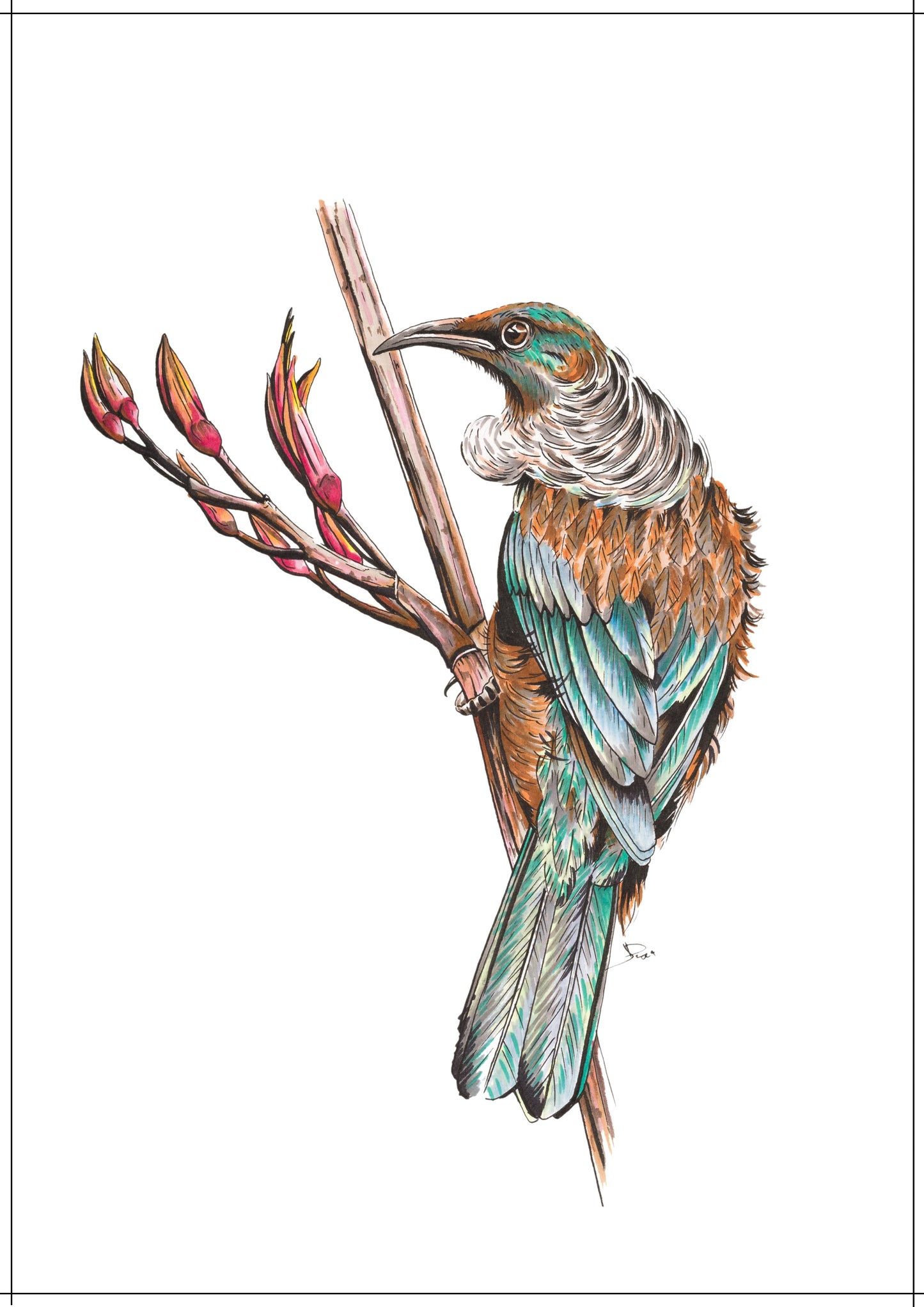 Tui #2 Print
