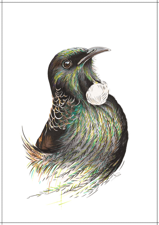 Tui #3 Print