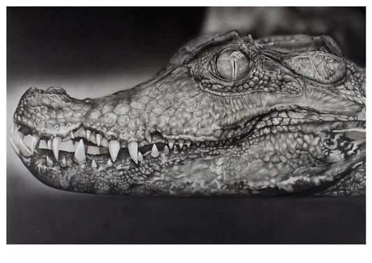 Caiman Print