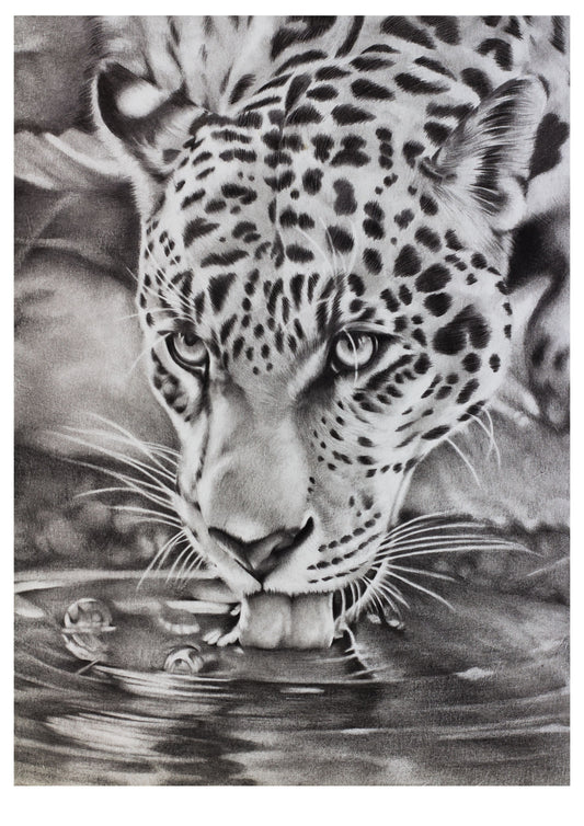 Jaguar Print