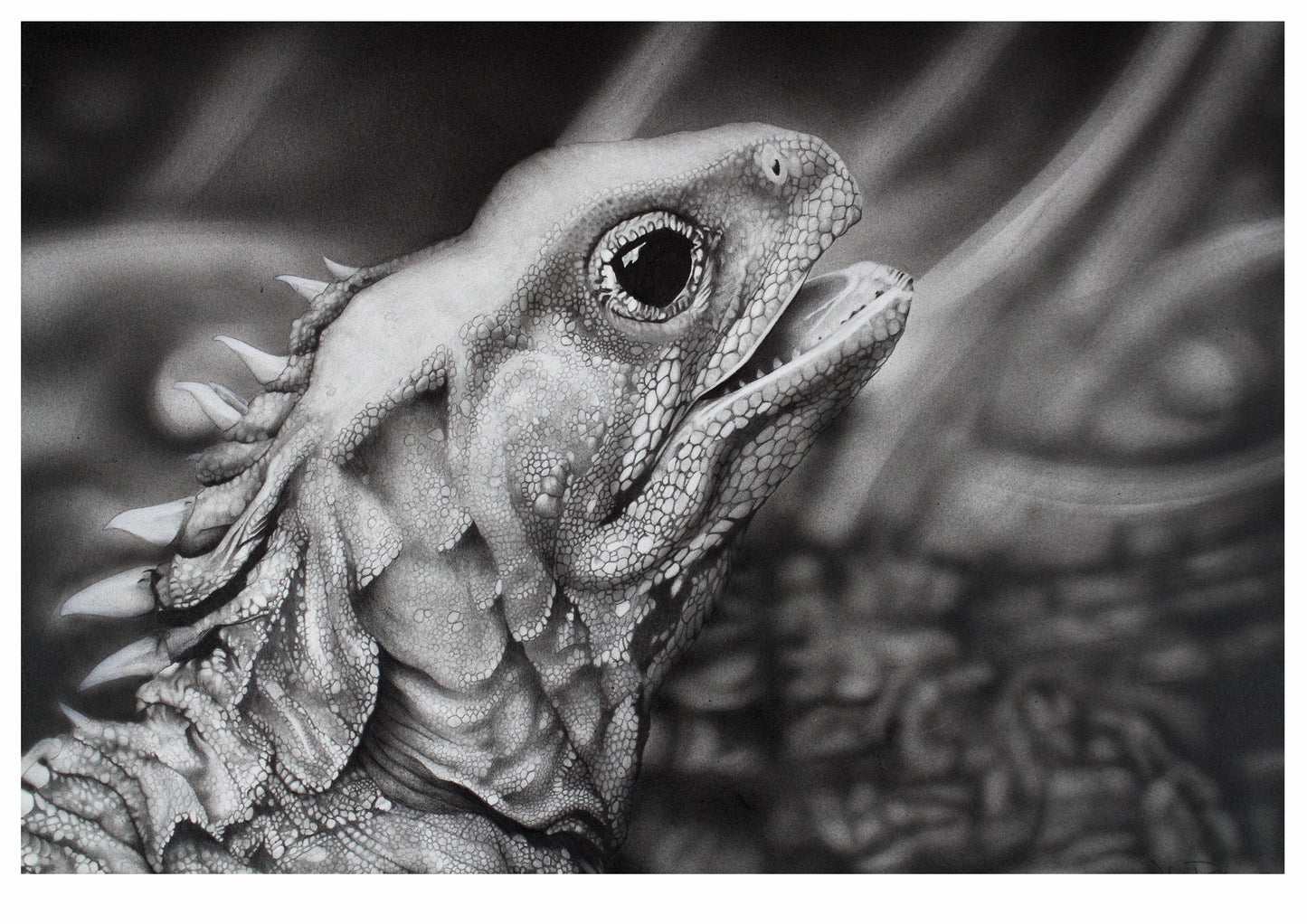 Tuatara Print