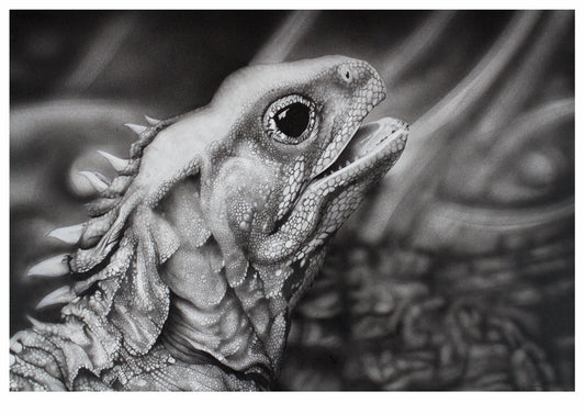 Tuatara Print